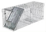 Animal Trap