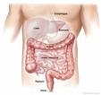 Small Intestine Cancer